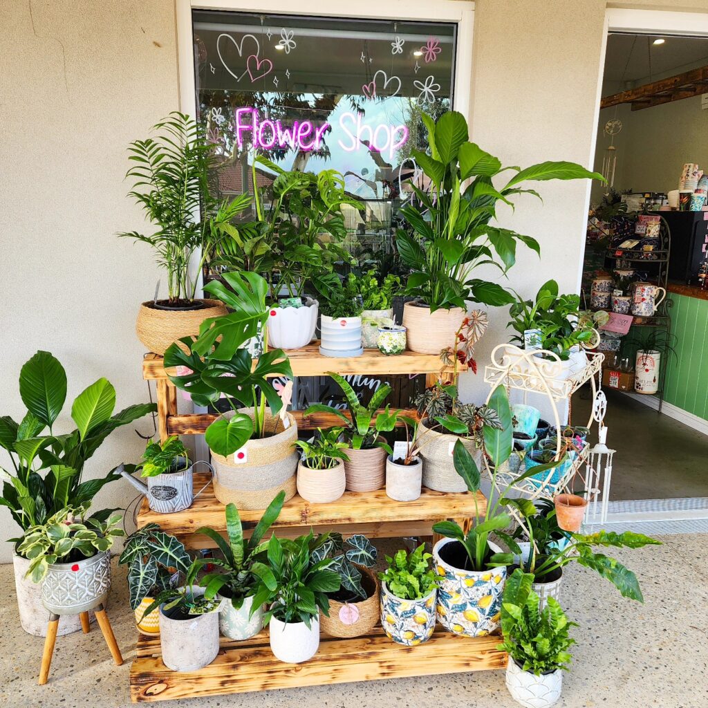 plants byford 1024x1024